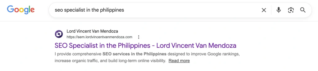 SEO specialist in the Philippines - Lord Vincent Van Mendoza